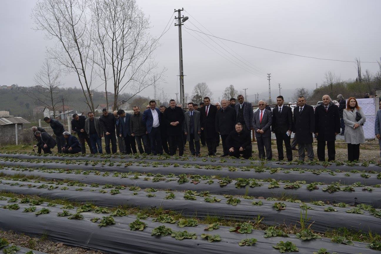 Alaplı İlçesi Uygulamalı Tarım ve Tarım Egitim Alanı Oluşturulması Projesinin Açılış Etkinliği Gerçekleştirildi... Galeri