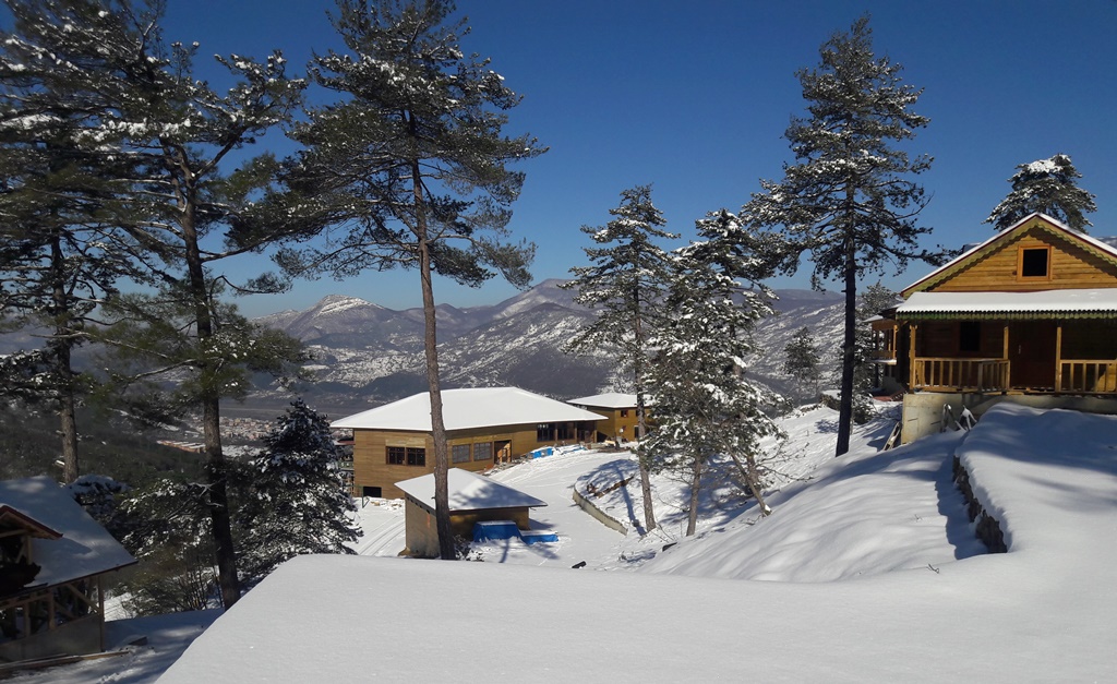 Yenice Ormanlarında Doğayla Bütünleşik Bir Turizm Projesi Galeri