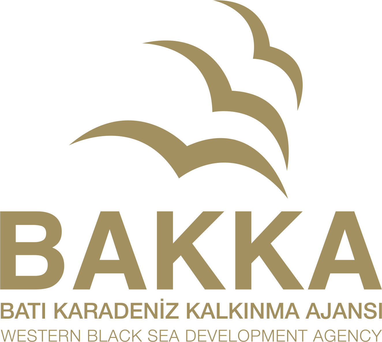 DİKEY KULLANIM - ALTIN RENGİ KULLANIM
