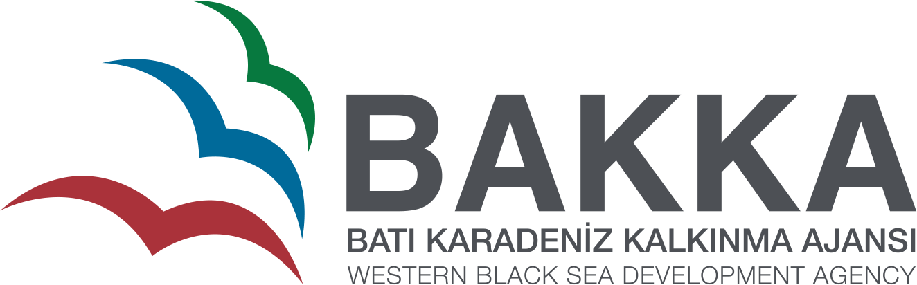 YATAY KULLANIM - RENKLİ KULLANIM