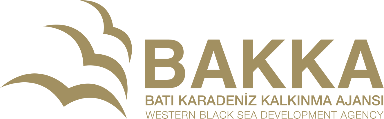 YATAY KULLANIM - ALTIN RENGİ KULLANIM