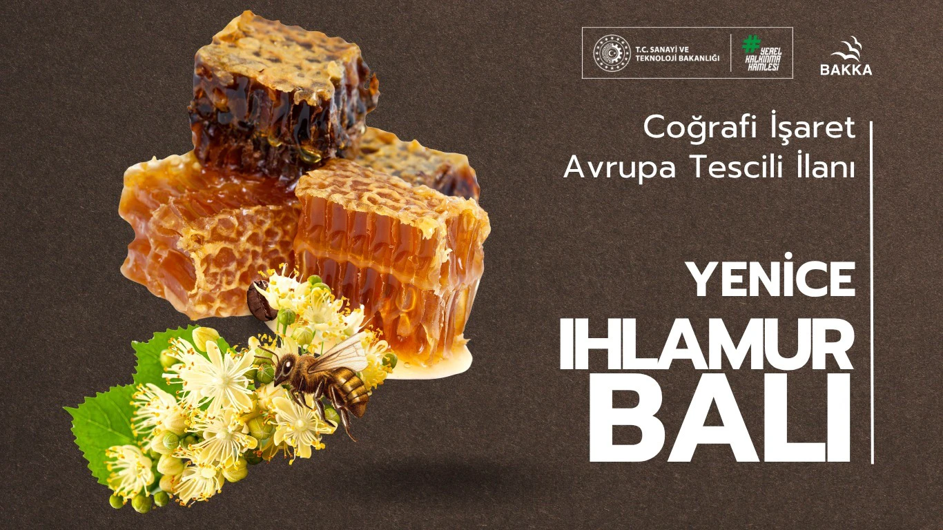 Yenice’nin Doğal Ihlamur Balı Avrupa Tescili Yolunda!