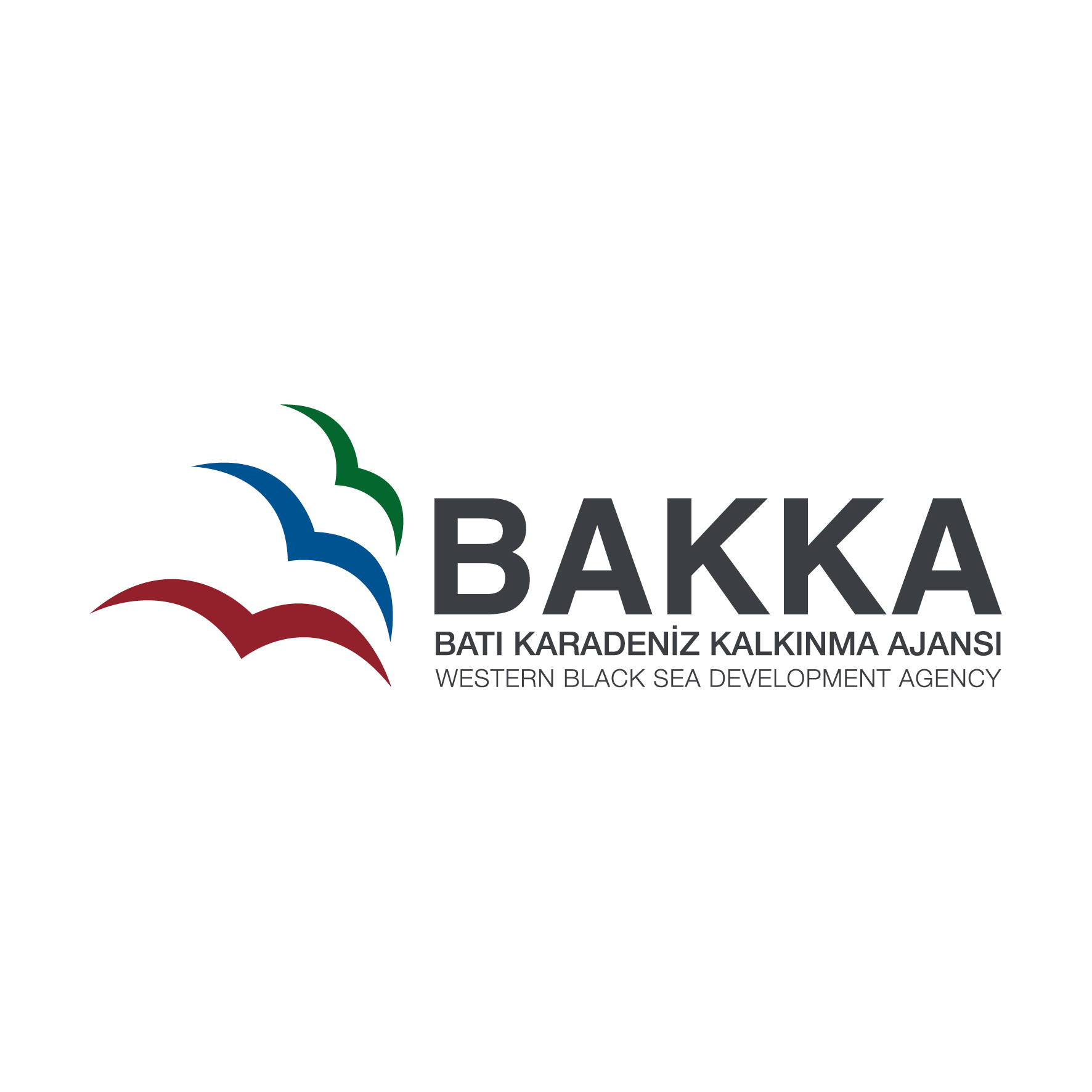 BAKKA 6. YILINDA
