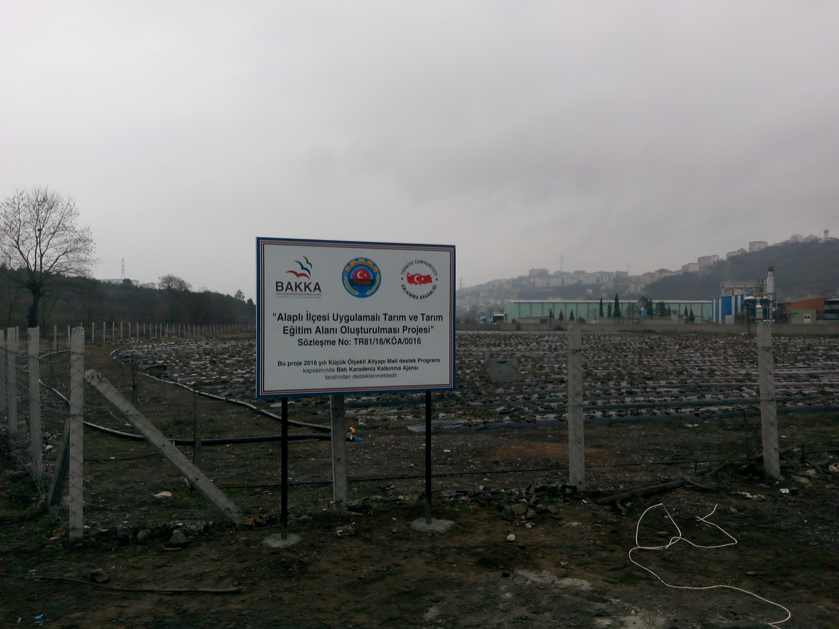 Alaplı İlçesi Uygulamalı Tarım ve Tarım Eğitim Alanı Oluşturulması Projesi Başladı...