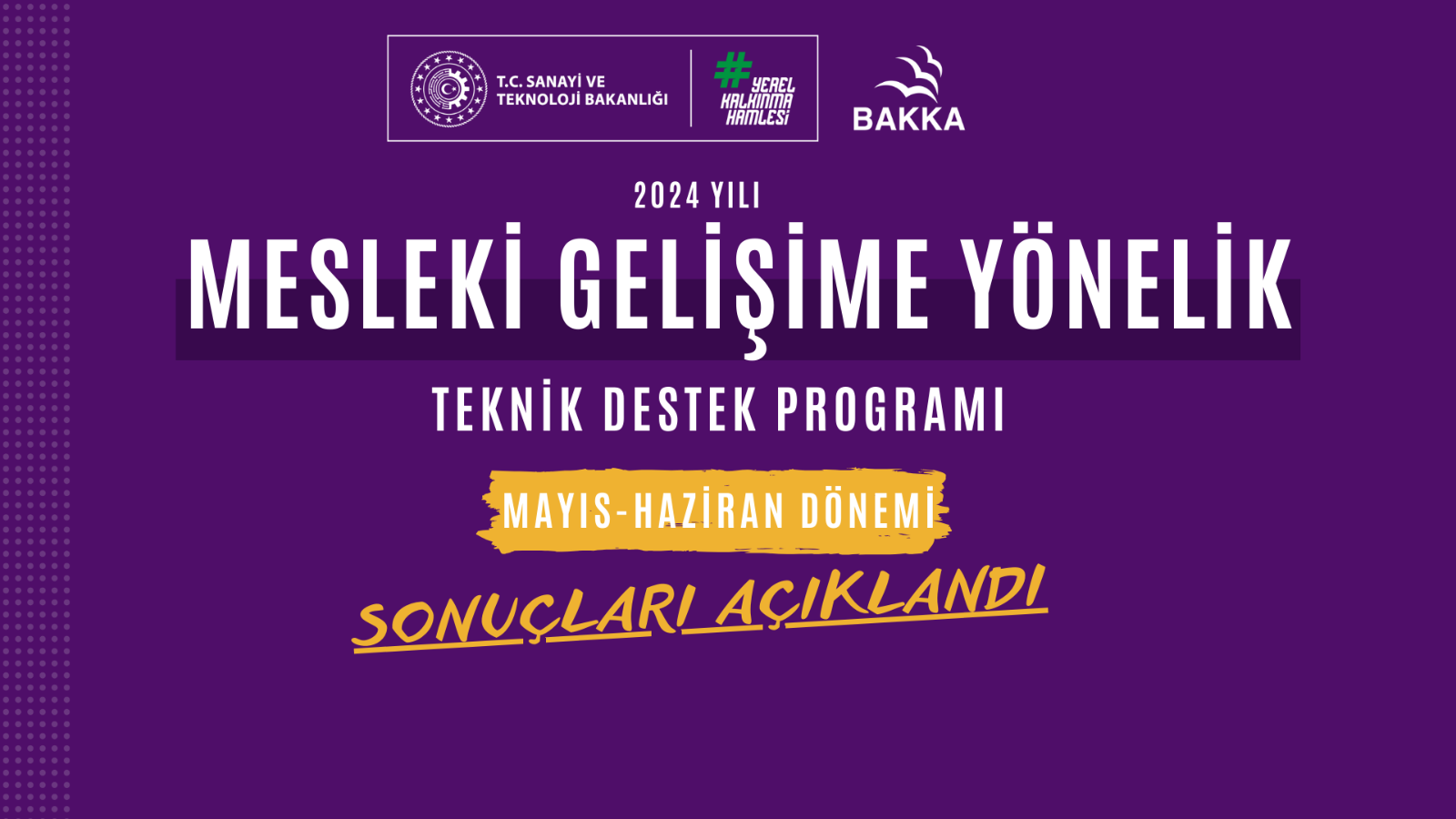 2024 Yılı Mesleki Gelişime Yönelik Teknik Destek Programı Mayıs-Haziran Dönemi İlan Edildi