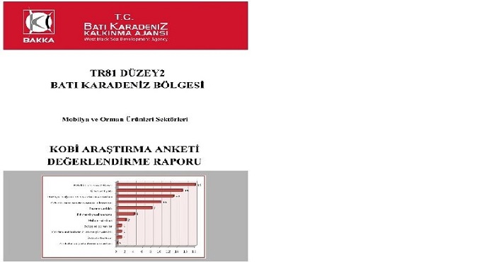 Mobilya ve Orman Ürünleri Sektörleri KOBİ Araştırma Anketi Değerlendirme Raporu yayınlanmıştır.