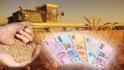 Tarım Destekleri Tebliği, Resmi Gazete'de Yayımlandı.