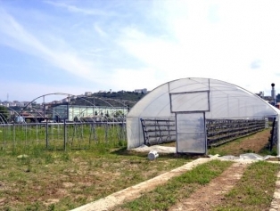 Batı Karadeniz’de Nitelikli Tarım Çalışmaları Başlatıldı Galeri