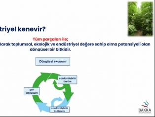 TR81 Bölgesi Sosyal Girişimcilik Programı Tamamlandı Galeri