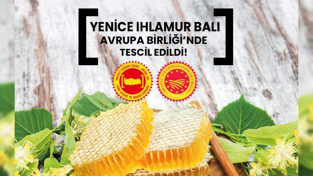 Yenice Linden Honey Received EU Geographical Indication Registration