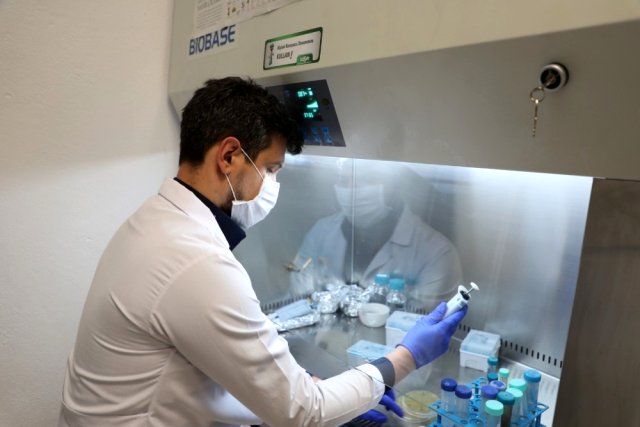 Critical Enzyme to Be Produced to Accelerate Drug Production for the Covid-19 Pandemic