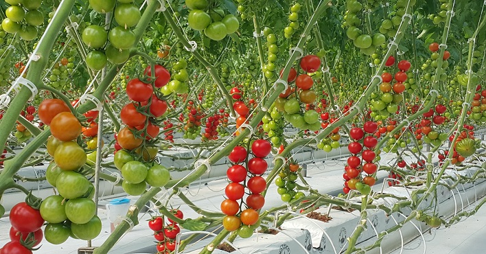 Sera OSB Projesi Bakanlık Tarafından Onaylandı