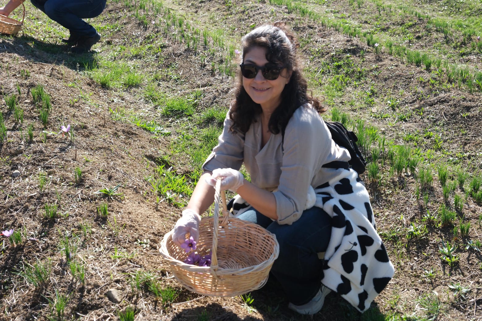Galeri