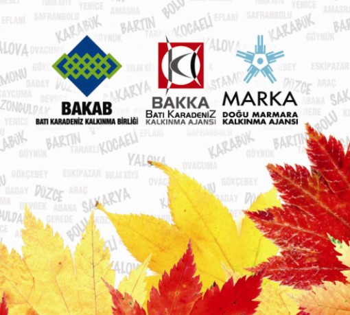 BAKAB, BAKKA ve MARKA 8. Salonun tamamında ortak tema ile temsil ediliyor